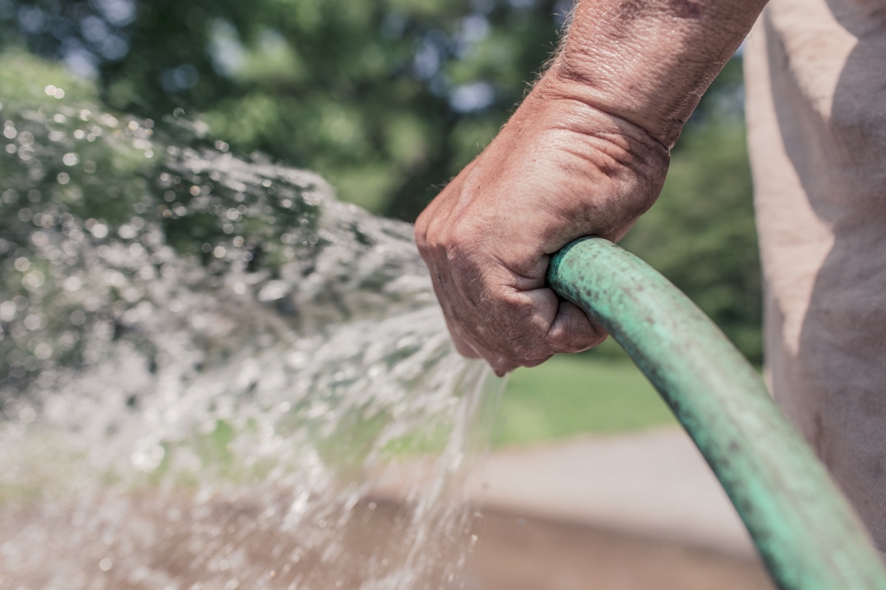 jardinerie-ISOLA-min_garden-hose-413684